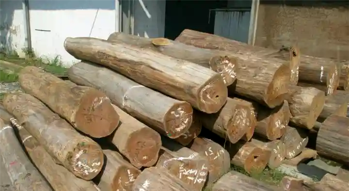 Sri Gokulam Timbers Traders in Anna Nagar, Tiruchirappalli