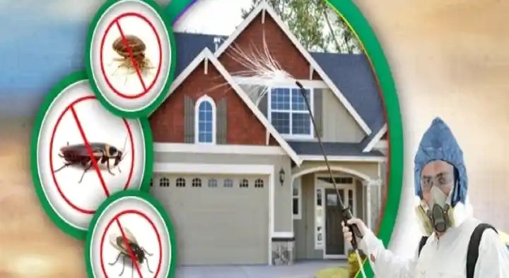 Sun Pest Control Services in Abiramy Nagar, Tirunelveli