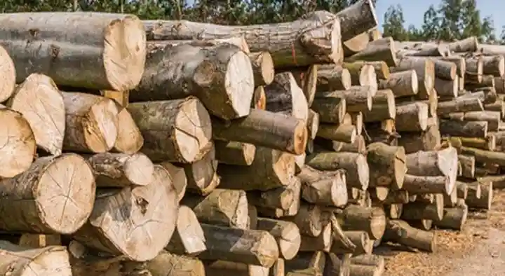 Sri Vinayaka Chaitanya Timber Depot in Srinavasapuram, Tirupati