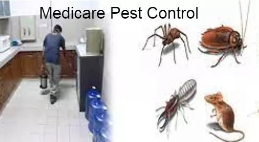 Medicare Pest Control in Sri Krishna Nagar, Tirupati