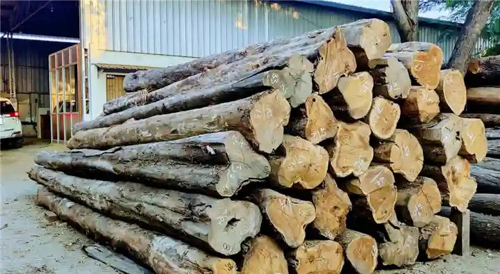 Timber Merchants in Tirupur  : Kailas Timbers in Rajiv Nagar
