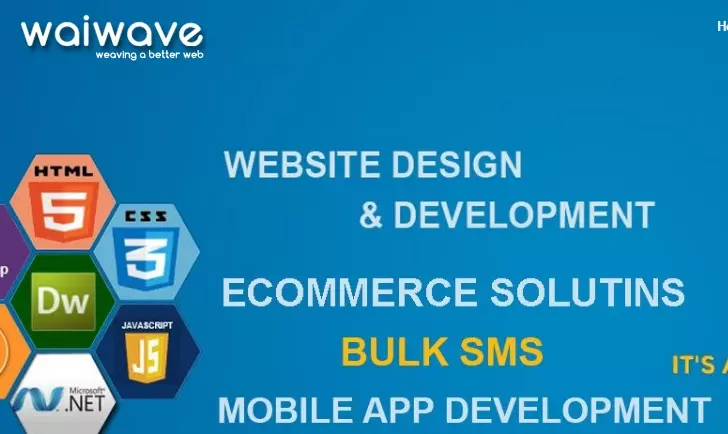 Website Designers And Developers in Vijayawada (Bezawada) : waiwave in Arundalpet