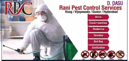 Rani Pest Control Services in Gunadala, Vijayawada