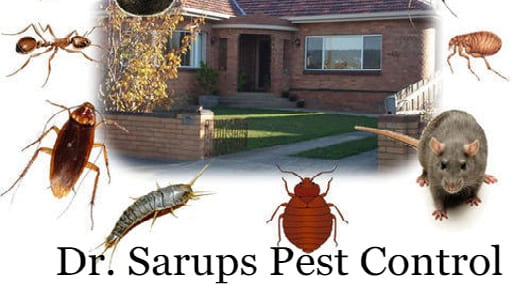 Dr Sarups Pest Control in Arundelpet, Vijayawada