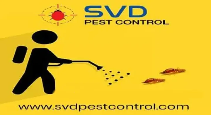 Industrial Pest Control Services in Vijayawada (Bezawada) : SVD Pest Control in M.G.Road