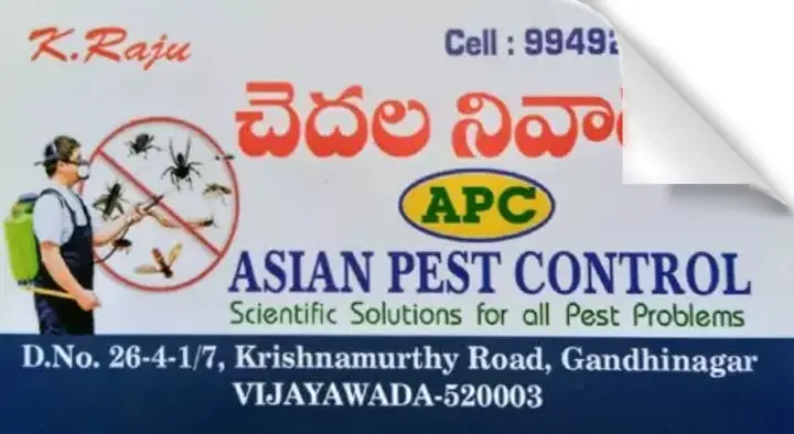 Residential Pest Control Service in Vijayawada (Bezawada) : Asian Pest Control in Gandhi Nagar