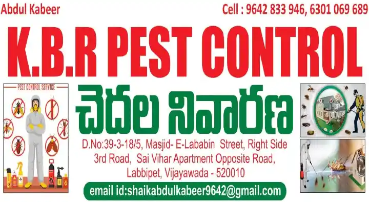 KBR Pest Control in Labbipet, Vijayawada