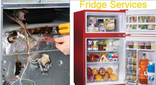 Electrical Home Appliances Repair Service in Visakhapatnam (Vizag) : Fridge Services in 