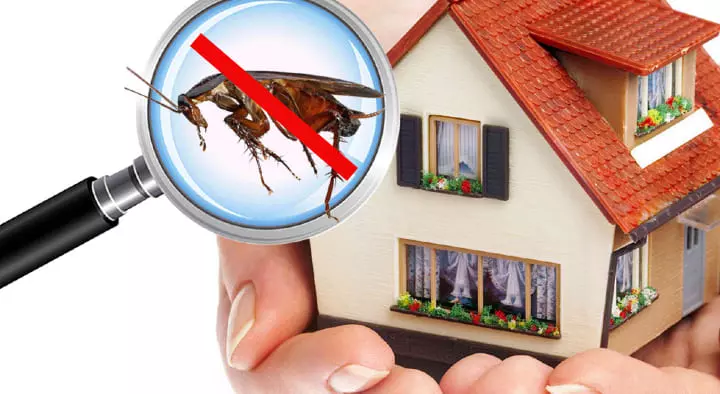 Grace Pest Management Solutions in Pendurthi, Visakhapatnam