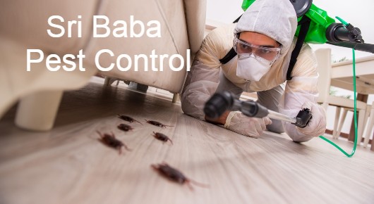 Sri Baba Pest Control in Naidu Thota, Visakhapatnam