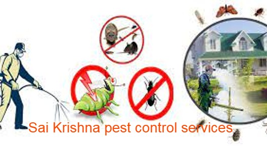 Sai Krishna Pest Control Services in Arilova, Visakhapatnam
