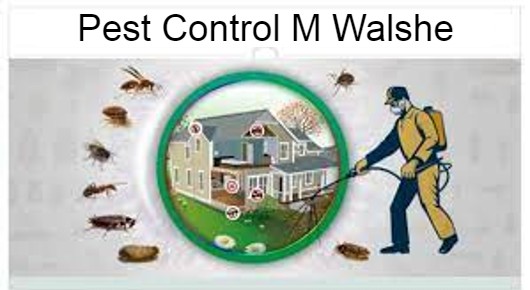 Pest Control M Walshe in Dwaraka Nagar, Visakhapatnam