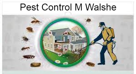 Pest Control M Walshe in Dwarakanagar, Visakhapatnam