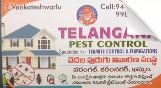 Pest Control Services in Warangal : Telangana Pest Control in Krishna Colony