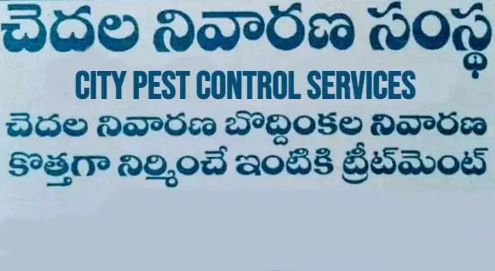 Pest Control Services in Warangal : City Pest Control Services in Hanamkonda