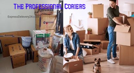 The Professional Couriers in Bhimavaram, West Godavari