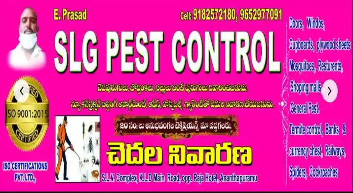 SLG Pest Control Services in KLD Road, Anantapur
