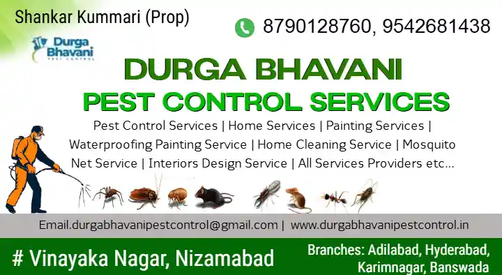 Durga Bhavani Pest Control Services in Vinayak Nagar, Nizamabad