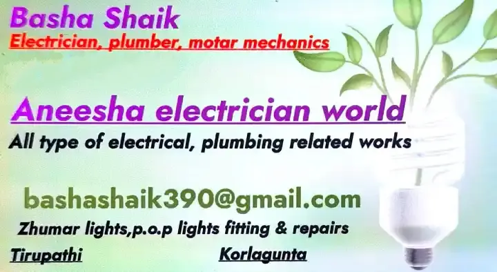 Aneesha Electrician Works in Korlagunta, Tirupati
