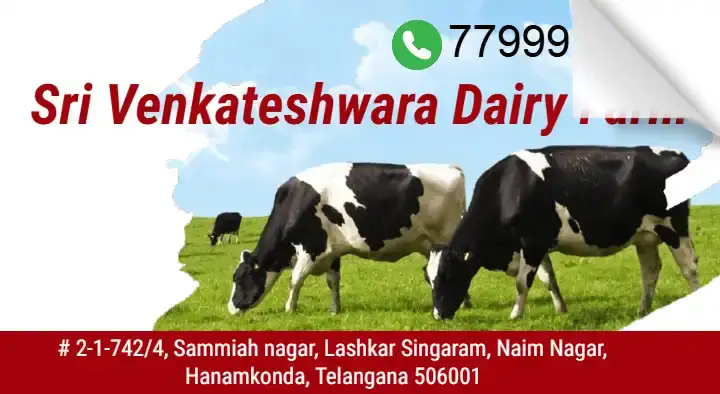 Sri Venakteswara Dairy Farm in Hanamkonda, Warangal
