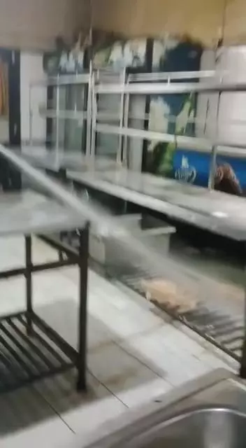 indian pest control awas vikas colony in amroha - Photo No.5