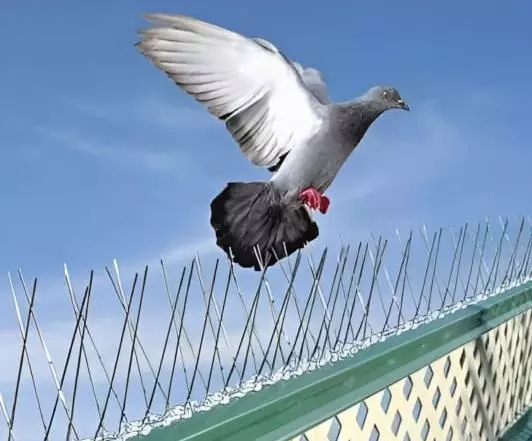 satya safety nets mahaveer nagar in bhubaneswar - Photo No.11