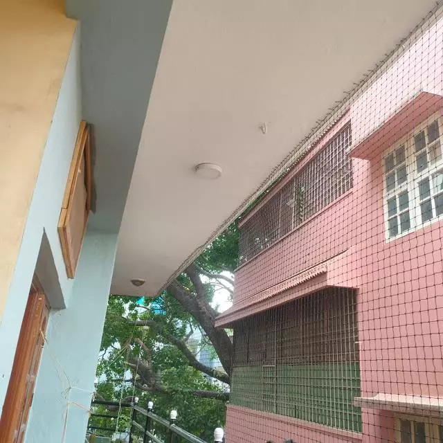 satya safety nets mahaveer nagar in bhubaneswar - Photo No.16