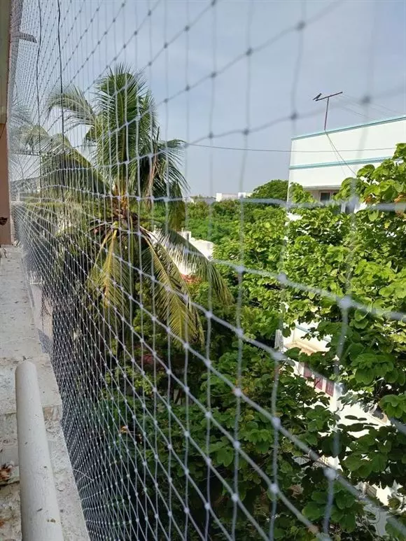 surya safety nets khudra road in bhubaneswar - Photo No.5