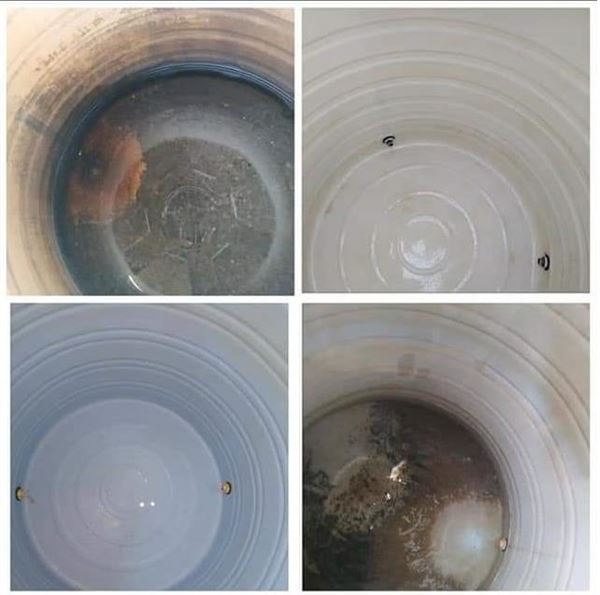 unique home cleaning service kongareddypalli in chittoor - Photo No.0