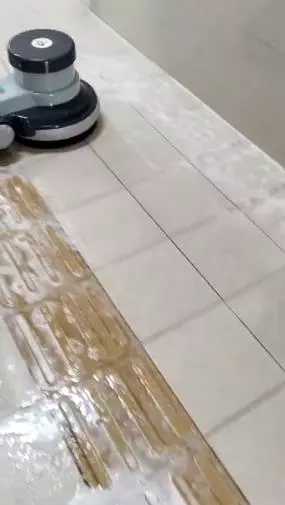 shivish pest management systems gandhipuram in coimbatore - Photo No.8