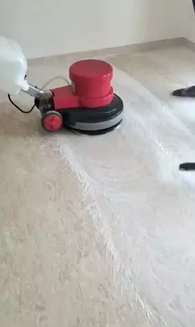 shivish pest management systems gandhipuram in coimbatore - Photo No.6