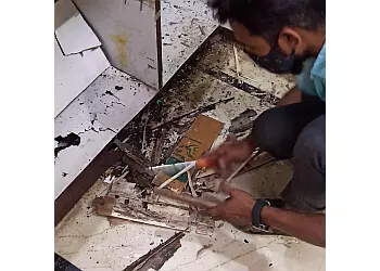 shivish pest management systems gandhipuram in coimbatore - Photo No.2