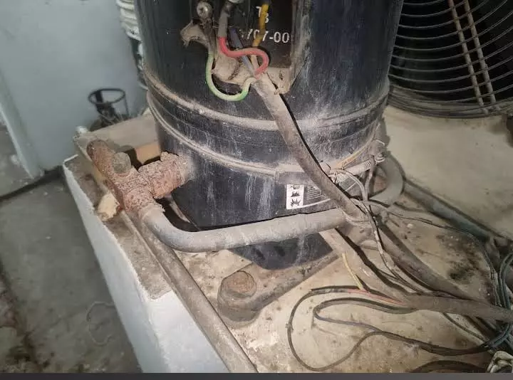 snow cool care servicing tenali in guntur - Photo No.0