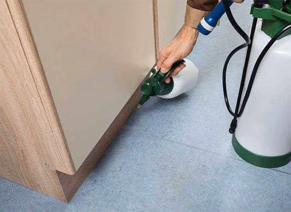 jai bharath pest control sri nagar in guntur - Photo No.5