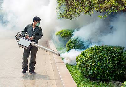 jai bharath pest control sri nagar in guntur - Photo No.4