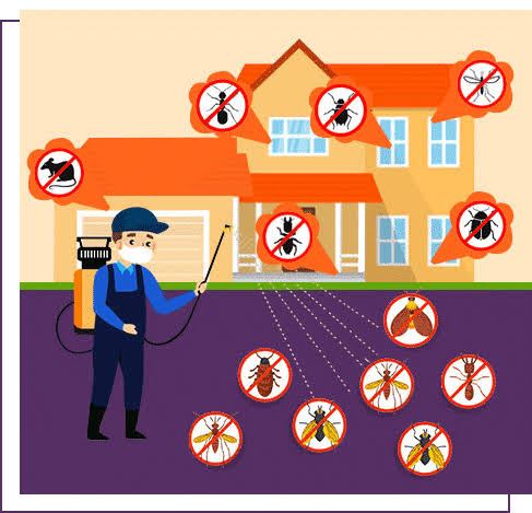 jai bharath pest control sri nagar in guntur - Photo No.10