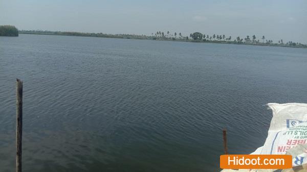 sri lakshmi fish land poultry products mangalagiri in guntur andhra pradesh - Photo No.5