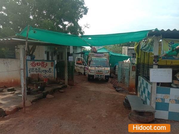 sri lakshmi fish land poultry products mangalagiri in guntur andhra pradesh - Photo No.3