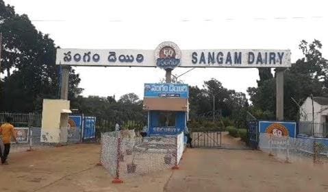 sangam dairy vadlamudi in guntur - Photo No.6