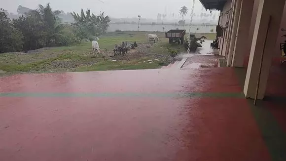 rareman farms mandadam in guntur - Photo No.25