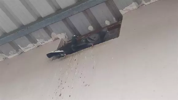 rareman farms mandadam in guntur - Photo No.24