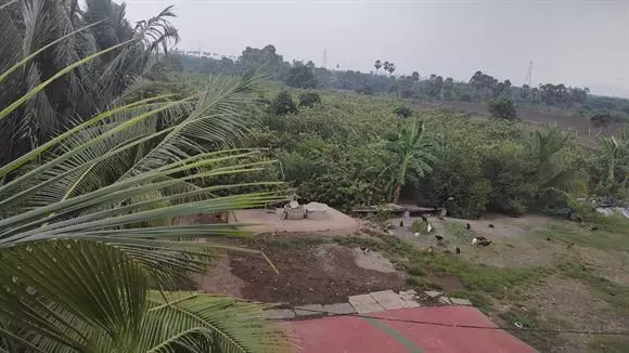 rareman farms mandadam in guntur - Photo No.21