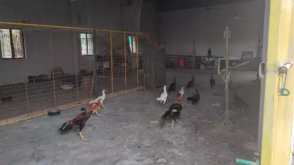 rareman farms mandadam in guntur - Photo No.27