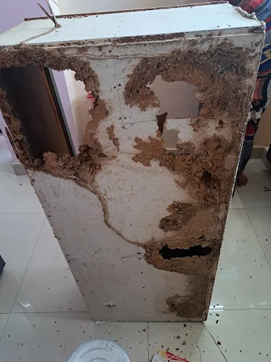 srinivasa pest control arundelpet in guntur - Photo No.0