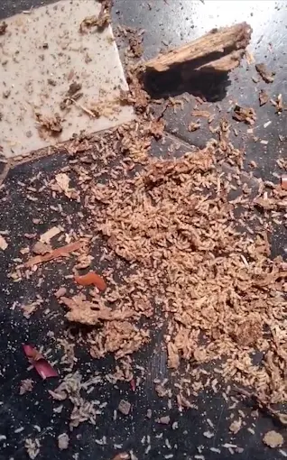 srinivasa pest control arundelpet in guntur - Photo No.5