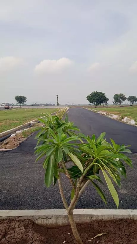 siri real estate agents gundimeda mangalagiri in guntur - Photo No.3