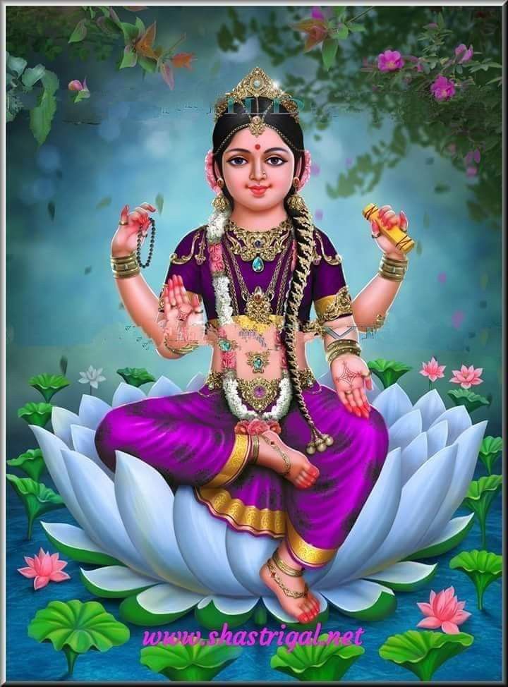 bala tripura sundari septic tank cleaners pattabhipuram in guntur - Photo No.0