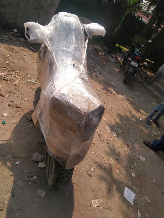 dolphin logistics and packaging transport contractor and commission agent beltola in guwahati - Photo No.0