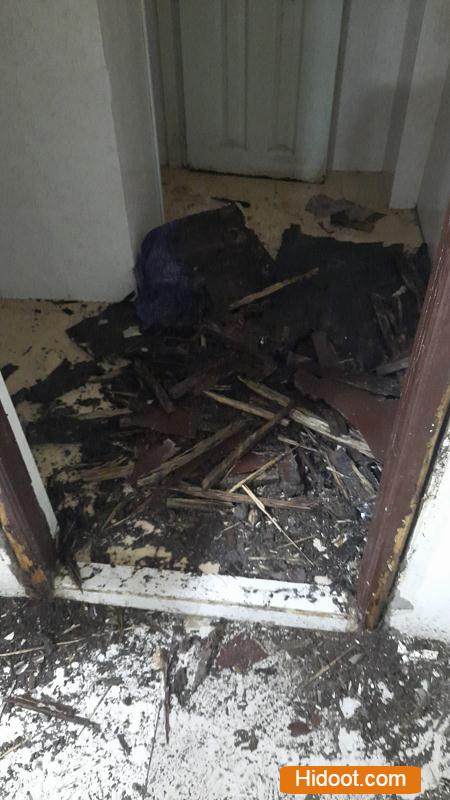 pest control of hyderabad near madhapur in hyderabad - Photo No.1