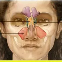 siri sampoorna nature cure hospital manikonda in hyderabad - Photo No.37